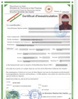 Numéro d'identification fiscale